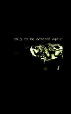 Only to Be Covered Again: Poems and Photographs, II (DO NOT ORDER)