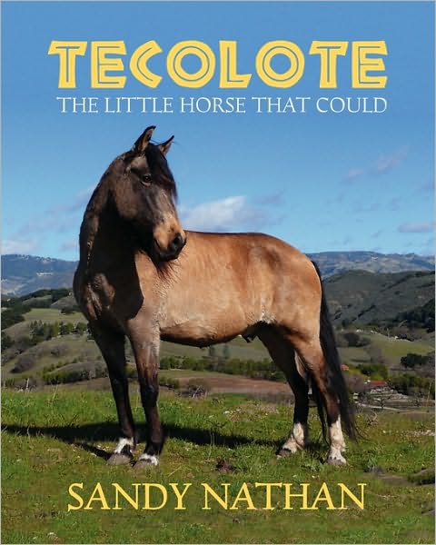 Tecolote