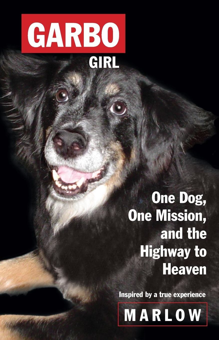 Garbo Girl: One Dog, One Mission And The Highway To Heaven