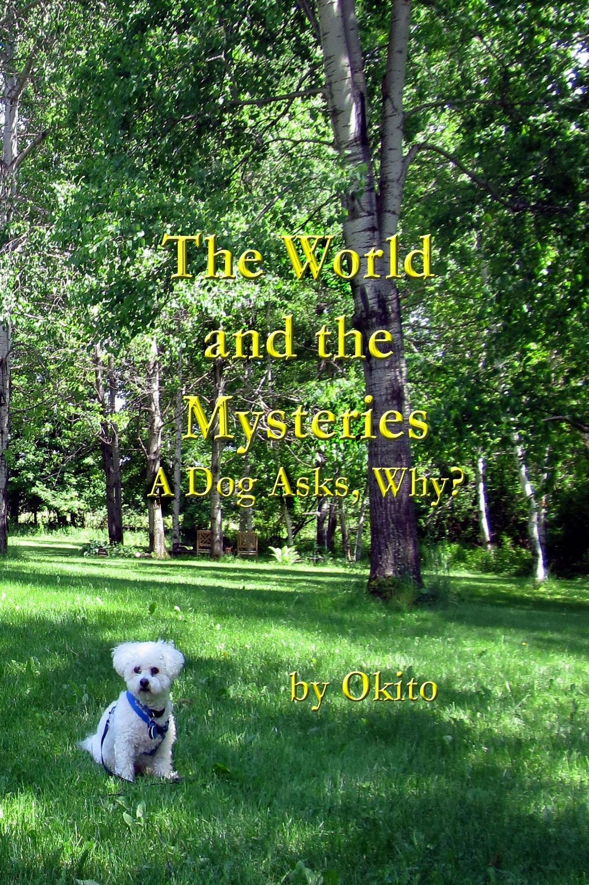 The World and the Mysteries: A Dog Asks, Why?
