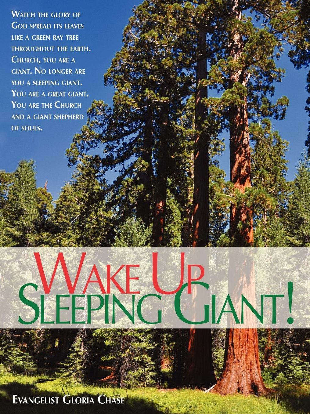 Wake up Sleeping Giant