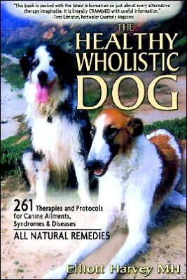 Healthy Wholistic Dog