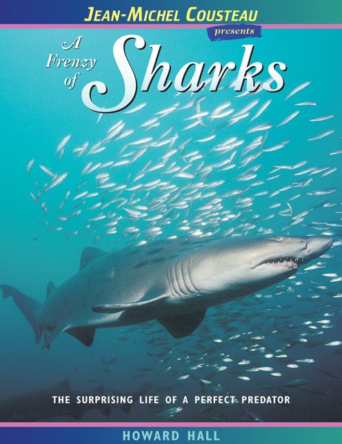 Frenzy of Sharks: The Surprising Life of a Perfect Predator