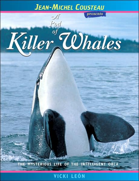 Pod of Killer Whales