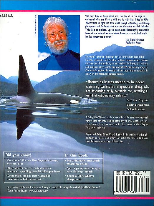 Pod of Killer Whales
