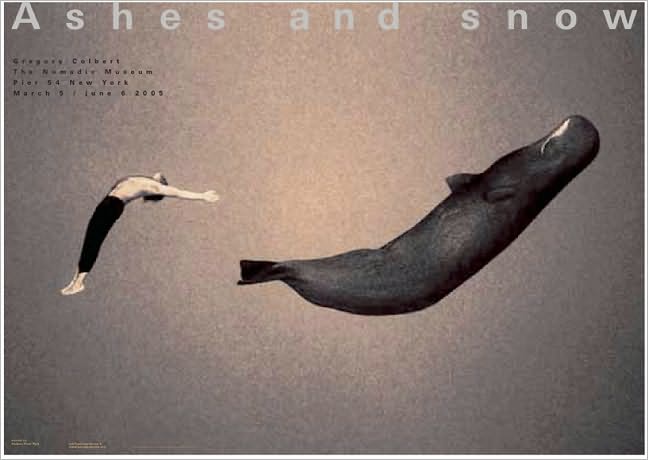 Gregory swimming with whale: New York exhibition (giant poster)