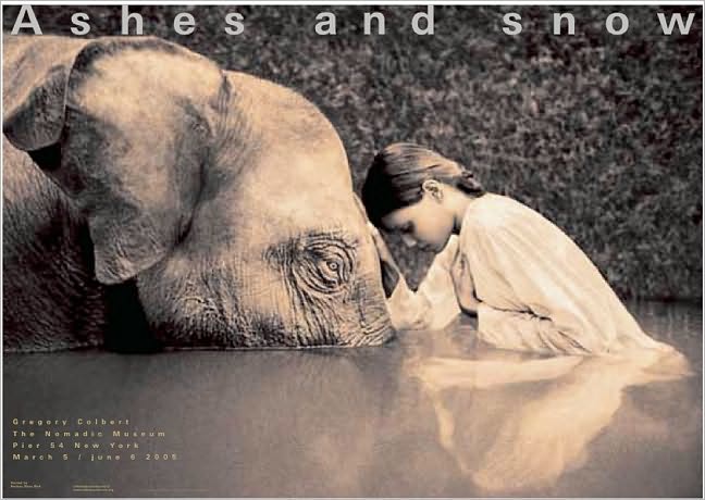 Girl with elephant: New York exhibition (standard poster)