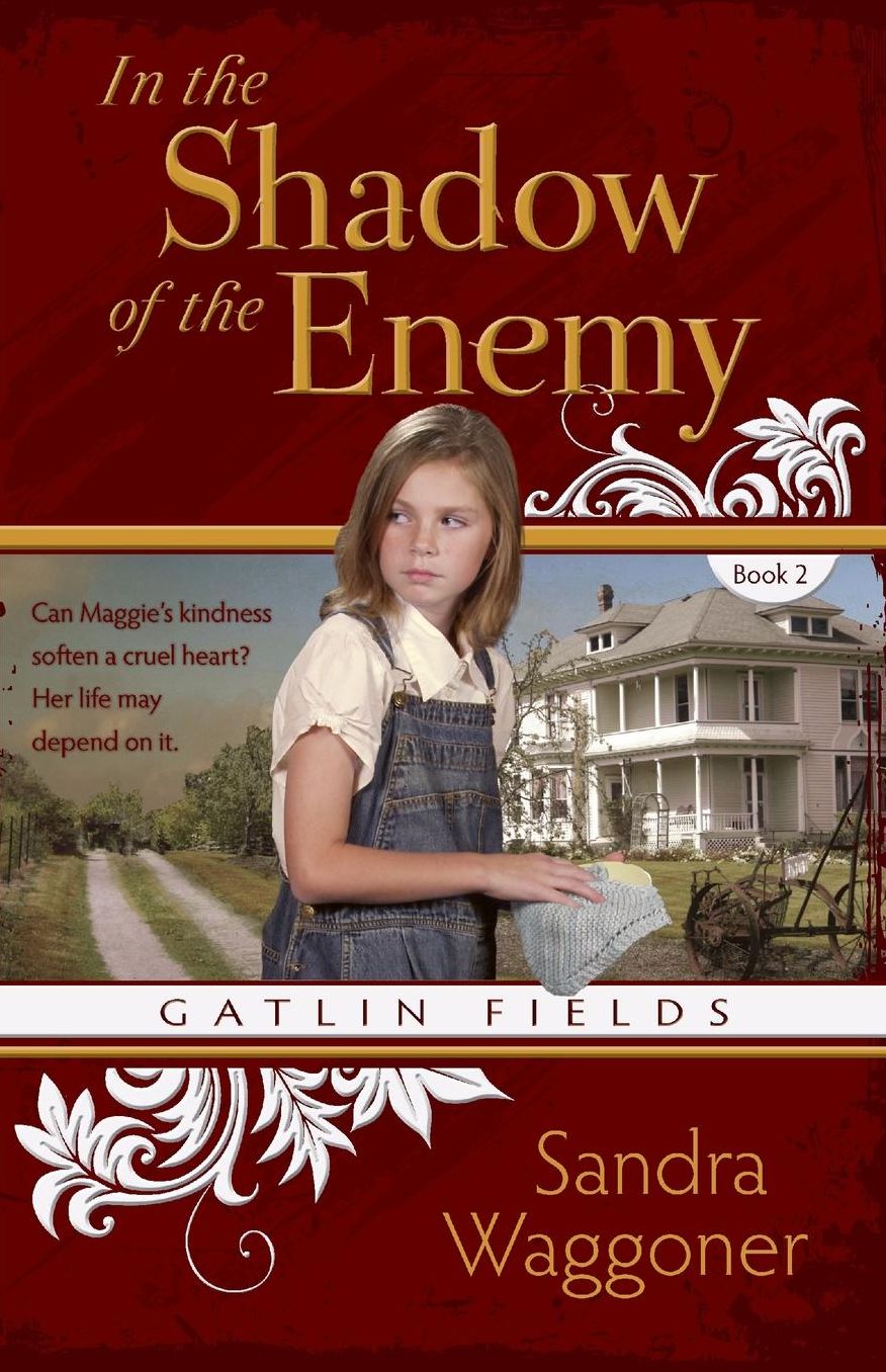 In The Shadow Of The Enemy