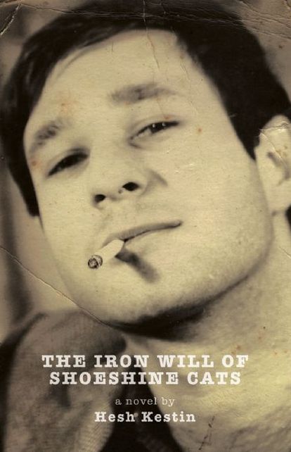 The Iron Will of Shoeshine Cats