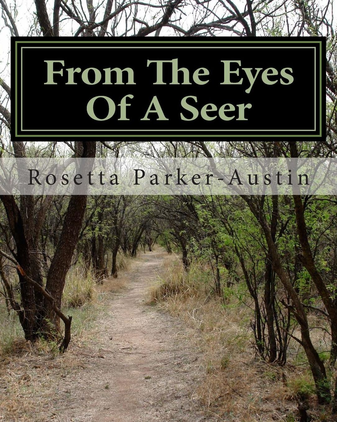 From The Eyes Of A Seer