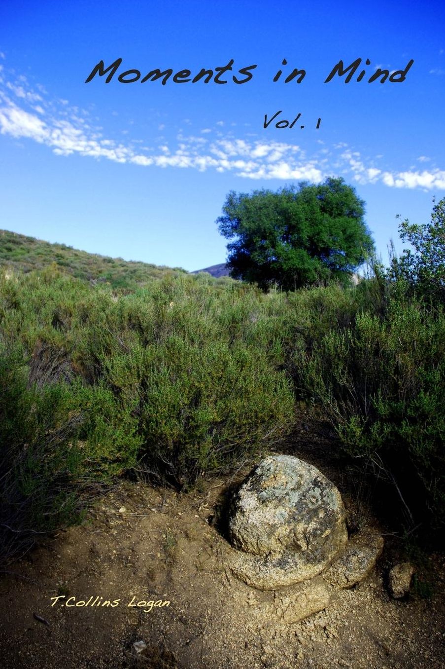 Moments In Mind: Essays-Poetry-Stories-Photos-Journals