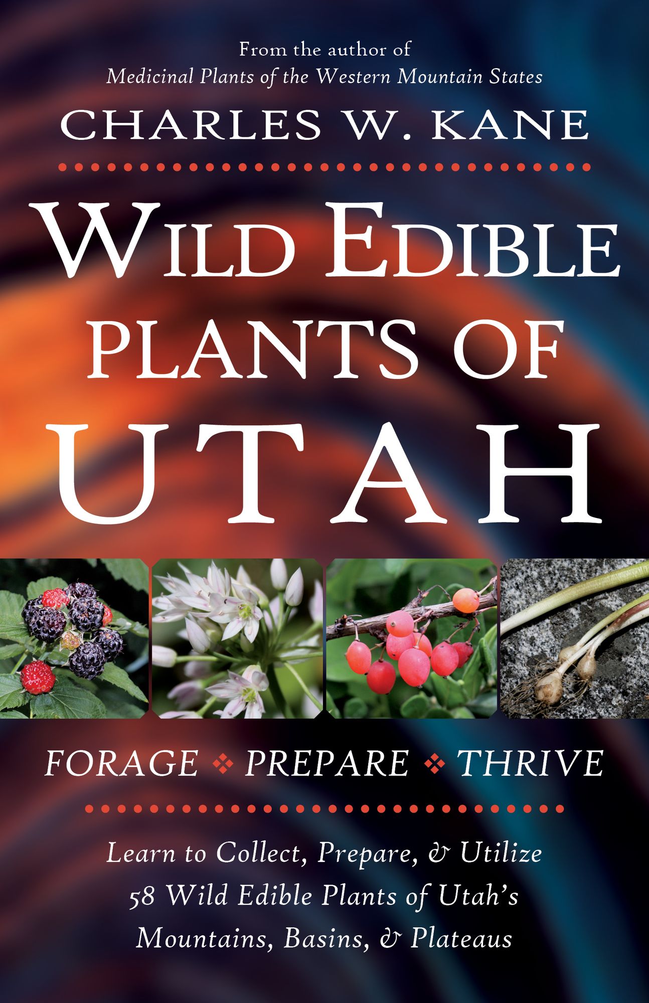 Forager's Field Cards: Sonoran Desert Food Plants