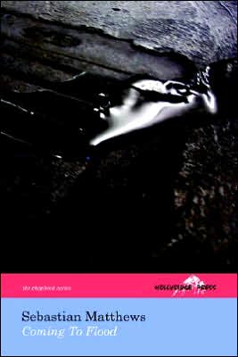 Coming to Flood (the Hollyridge Press Chapbook Series)