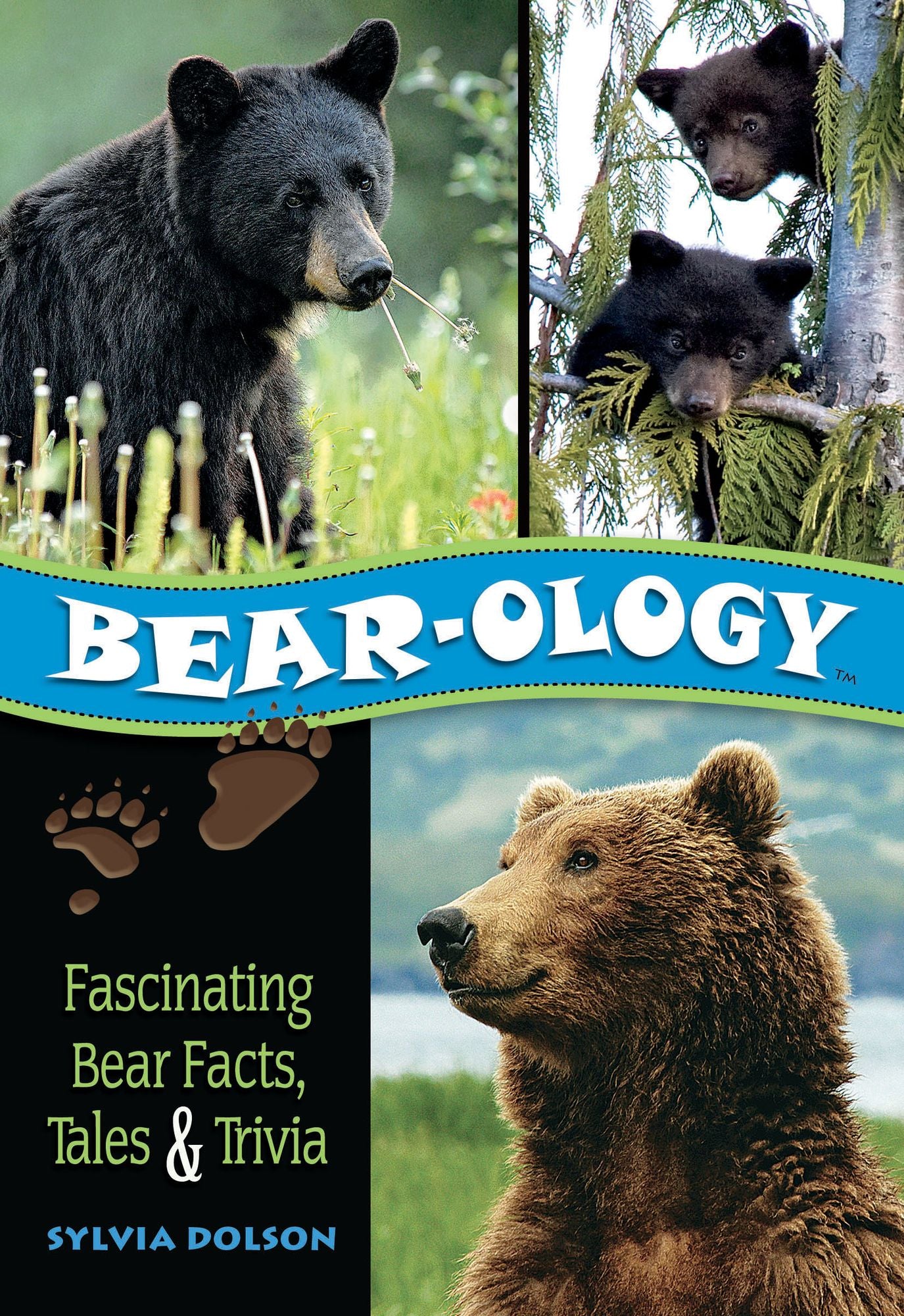 Bear-ology: Fascinating Bear Facts, Tales & Trivia