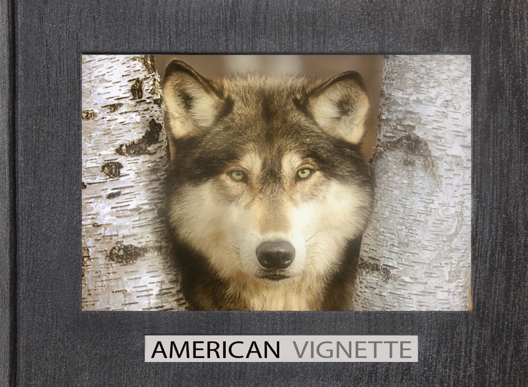 American Vignette