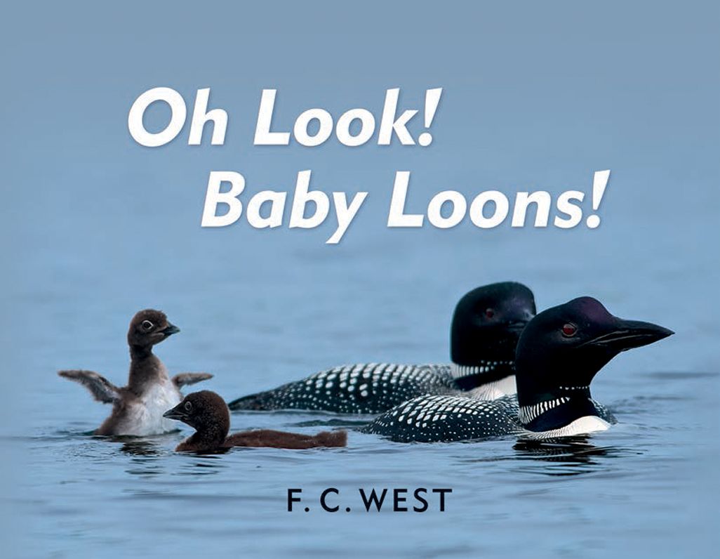 Oh Look! Baby Loons!