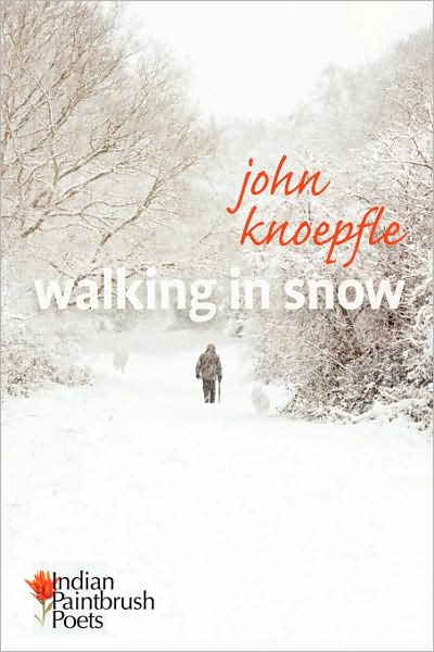 Walking In Snow