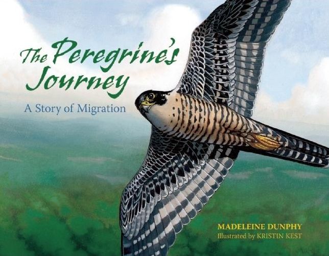 Peregrine's Journey: A Story of Migration