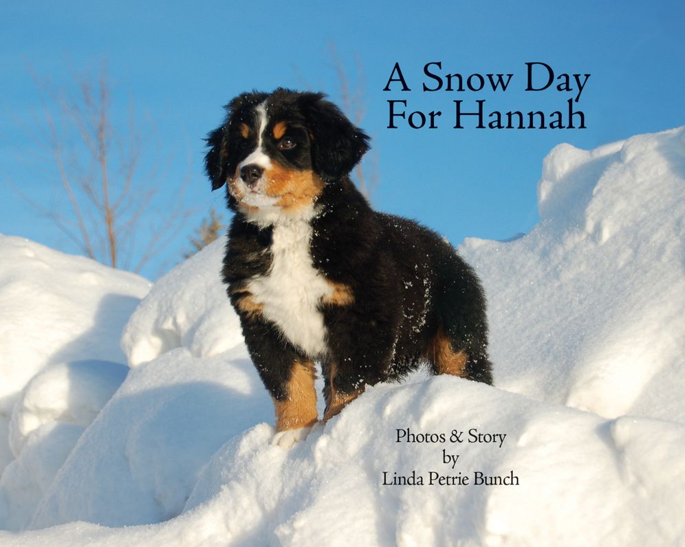A Snow Day for Hannah