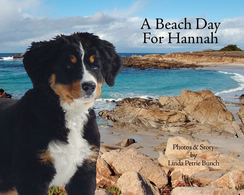 A Beach Day for Hannah