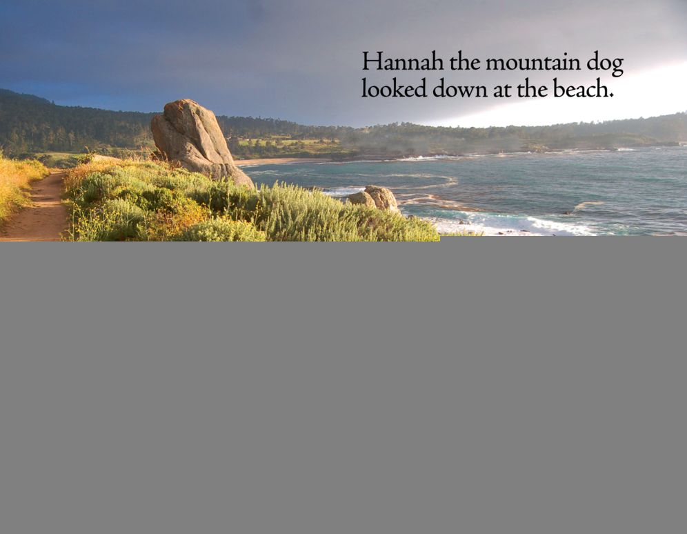 A Beach Day for Hannah
