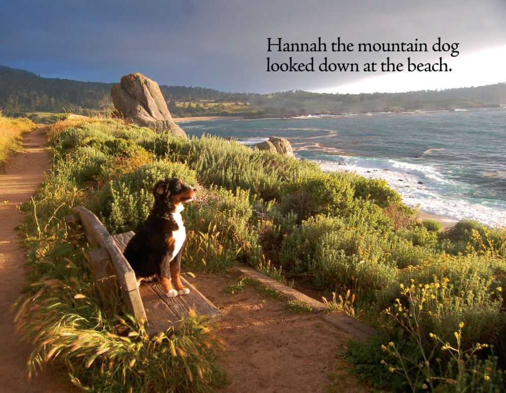 A Beach Day for Hannah