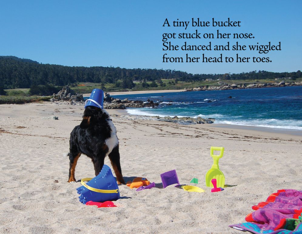 A Beach Day for Hannah