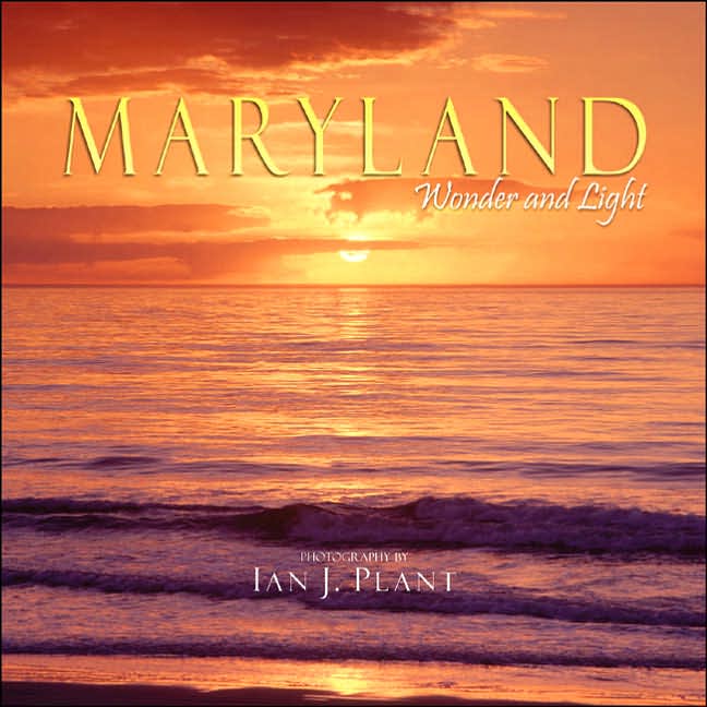 Maryland Wonder and Light