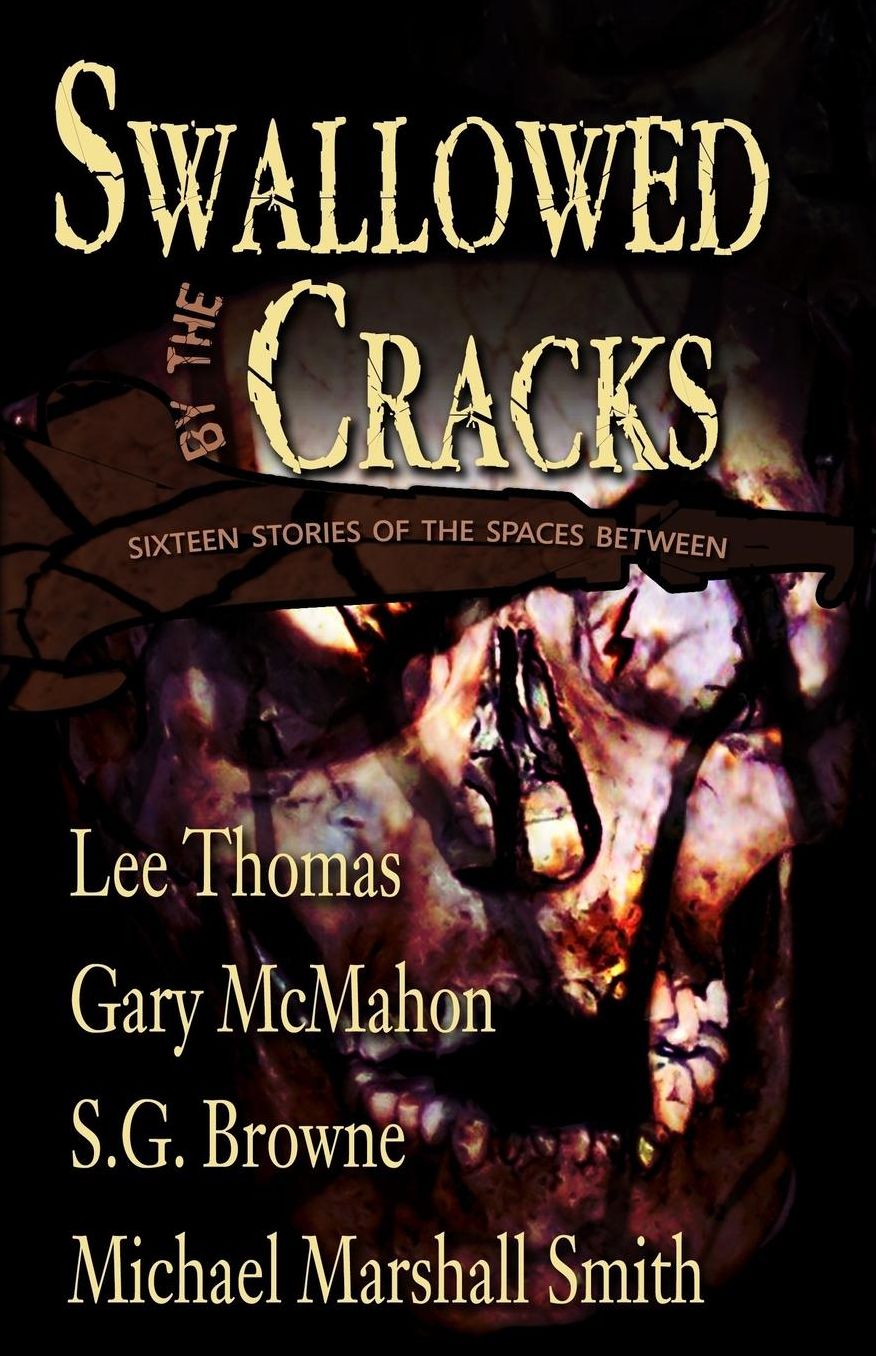 Swallowed by the Cracks: Sixteen Stories of the Spaces Between