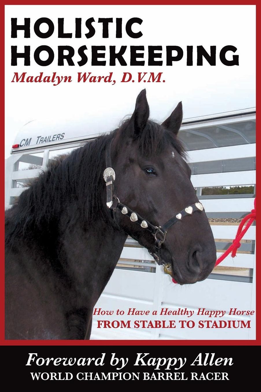 Holistic Horsekeeping: How to Have a Healthy Happy Horse from Stable to Stadium