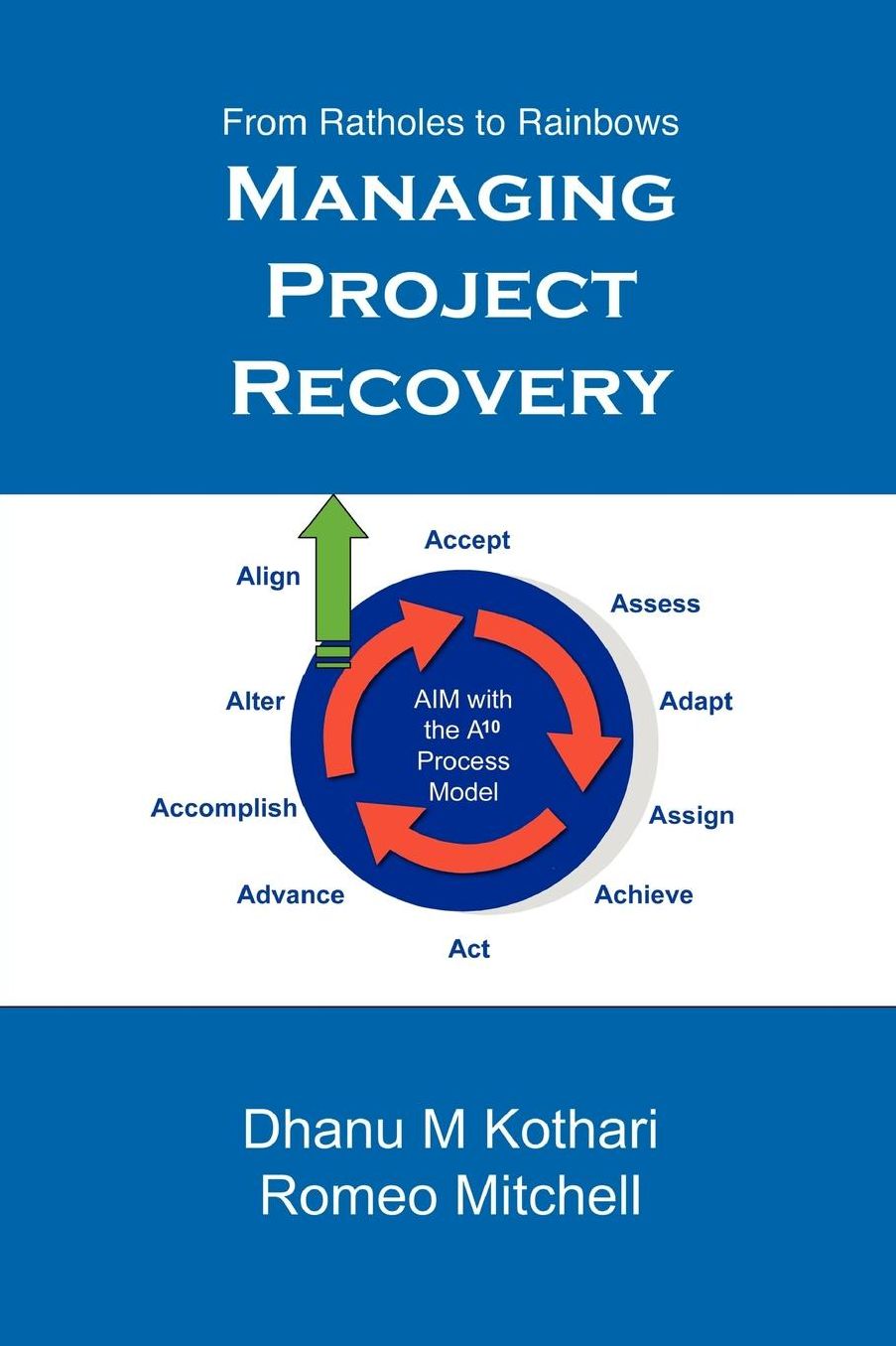 Managing Project Recovery