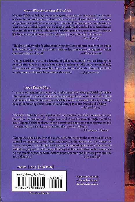 What Are Intellectuals Good For?