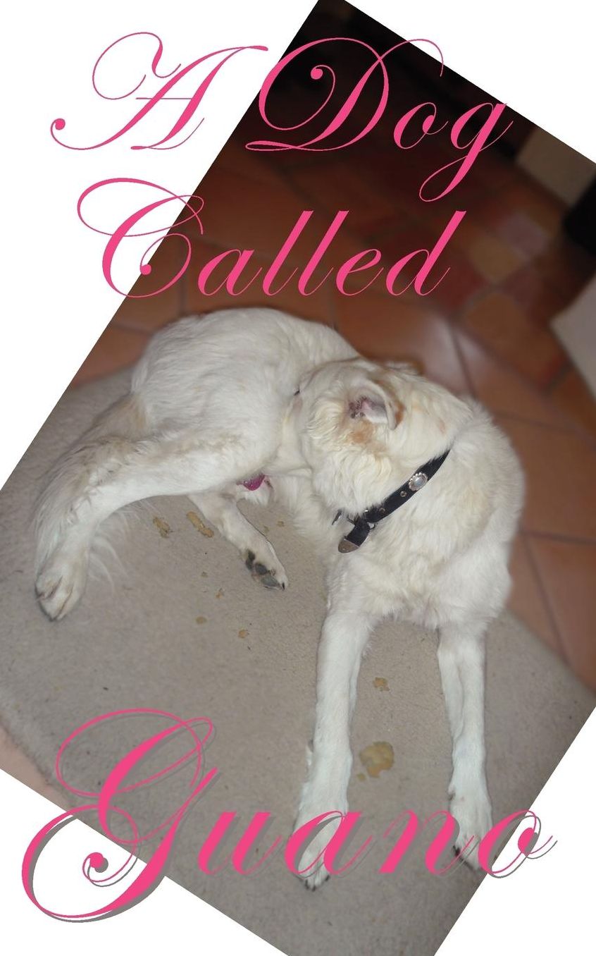 A Dog Called Guano