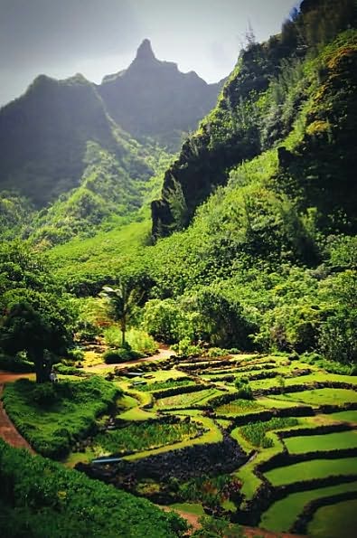 Kauai Trailblazer: Where to Hike, Snorkel, Bike, Paddle, Surf