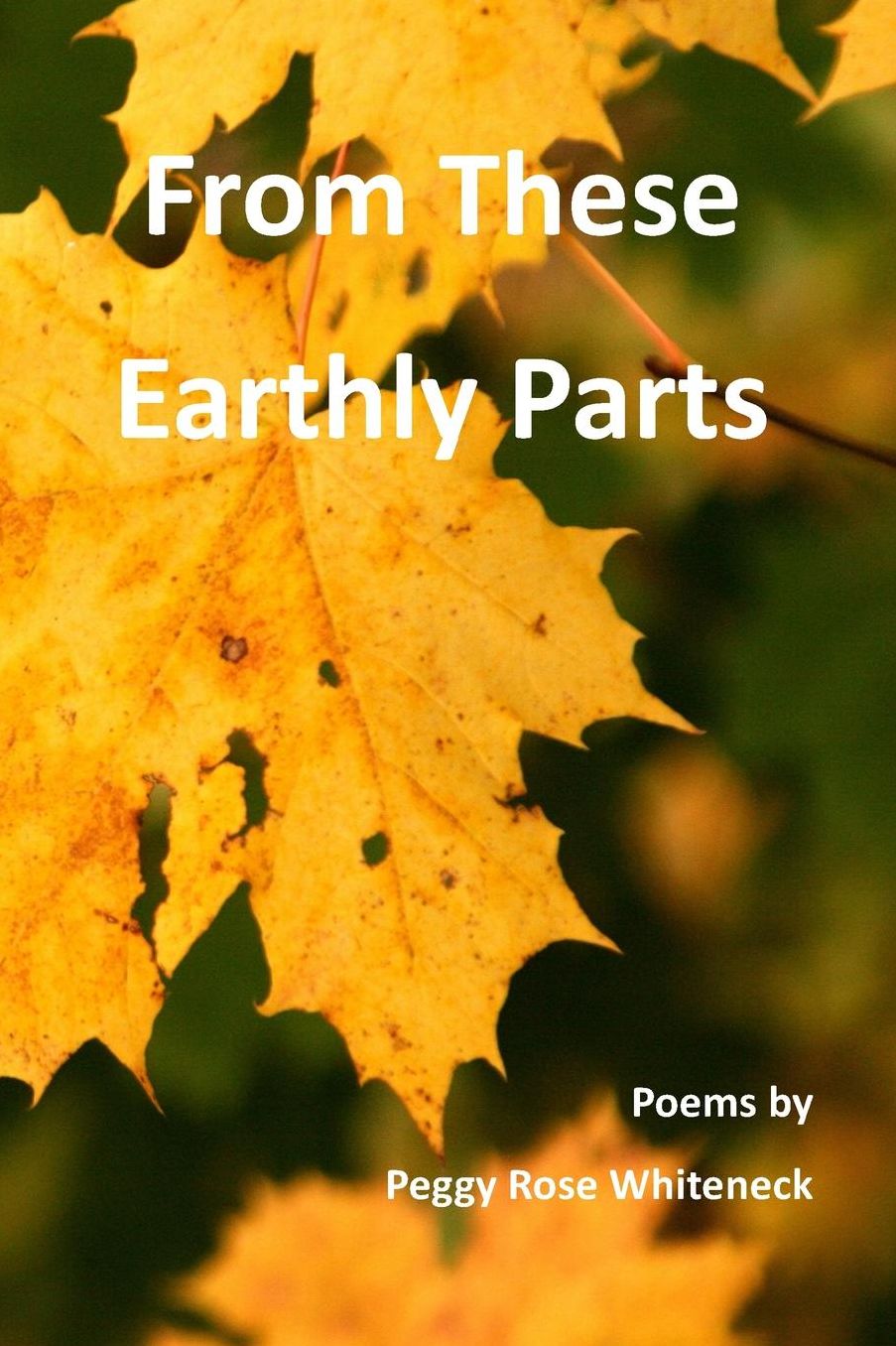 From These Earthly Parts