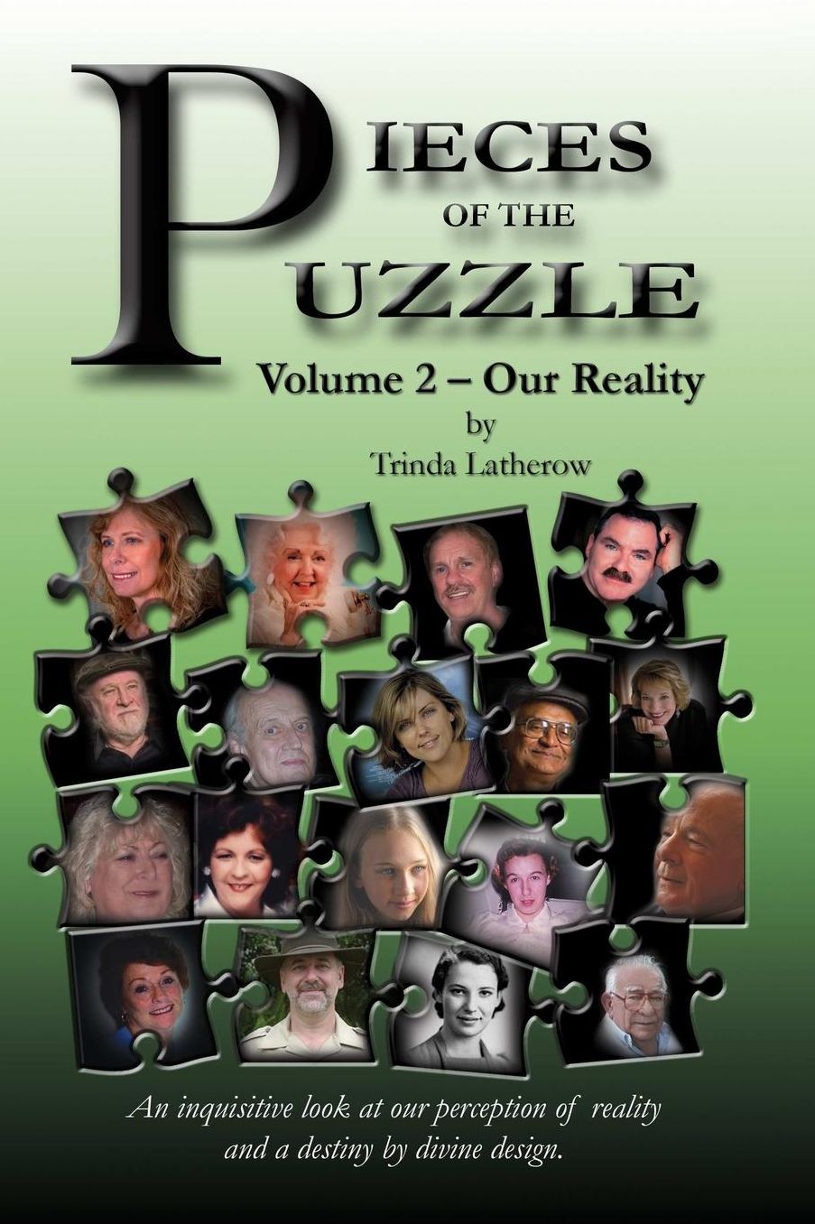 Pieces of the Puzzle: Our Reality