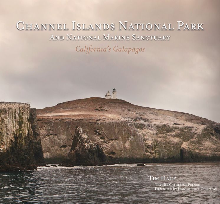 Channel Islands National Park and National Marine Sanctuary: California's Galapagos