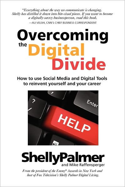 Overcoming The Digital Divide