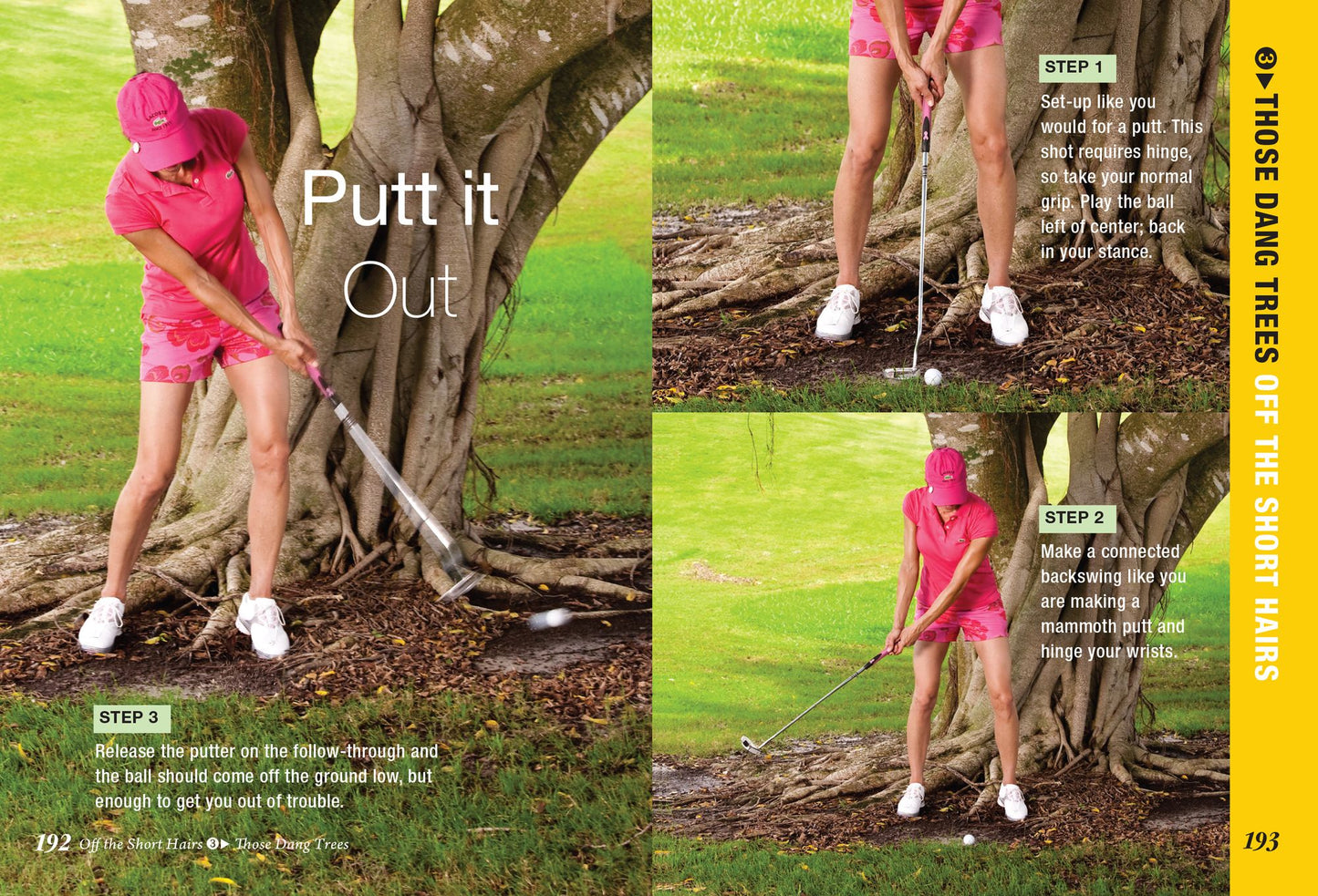 Reach Your Goals Survival Guide to Golf: Learn How to Take Your Game to the Next Level