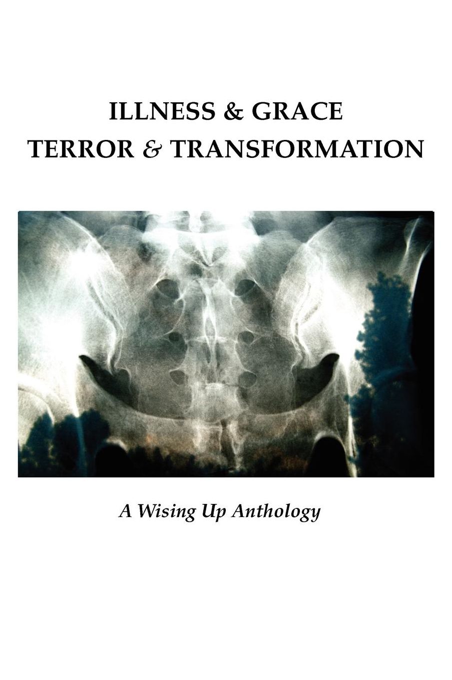 Illness & Grace, Terror & Transformation