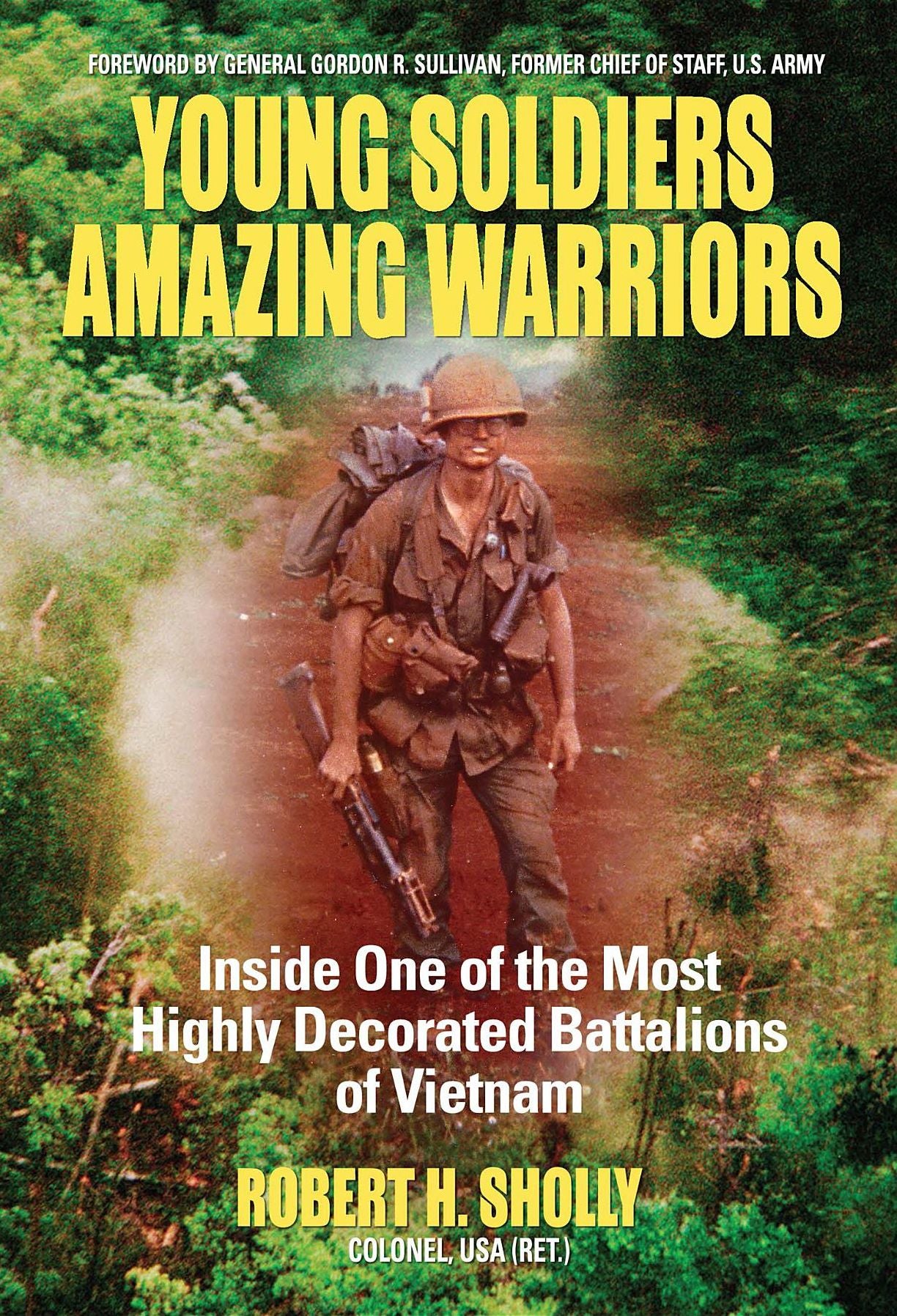 Young Soldiers Amazing Warriors: Inside One of the Most Highly Decorated Battalions of Vietnam