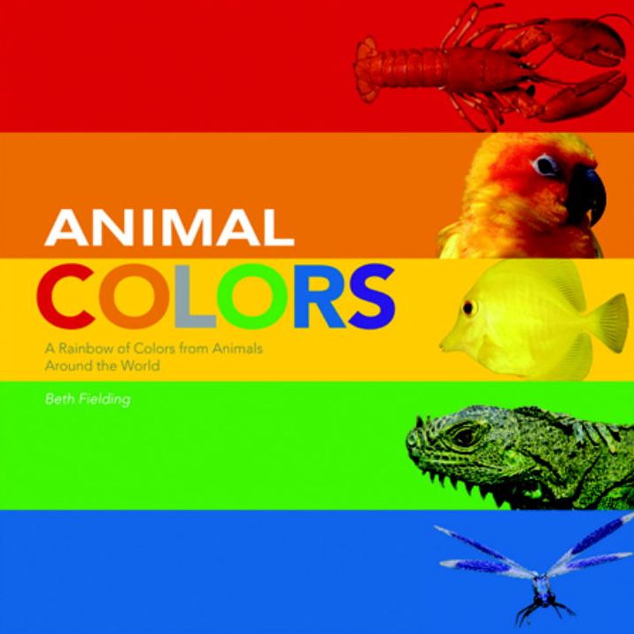 Animal Colors