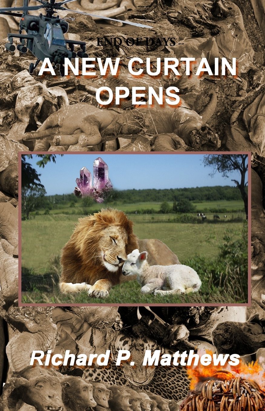 End of Days - A New Curtain Opens: a novel
