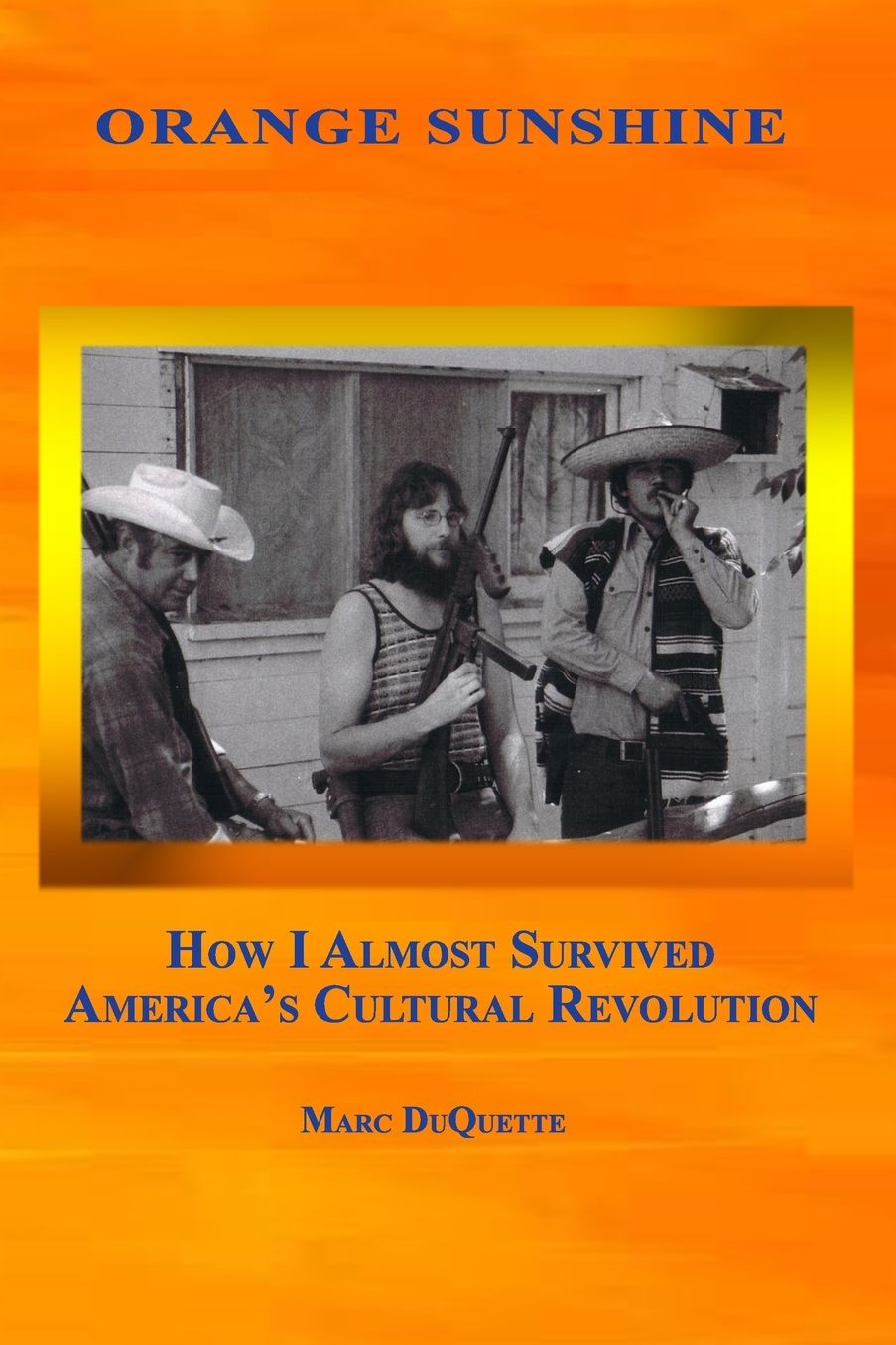Orange Sunshine: How I Almost Survived America's Cultural Revolution