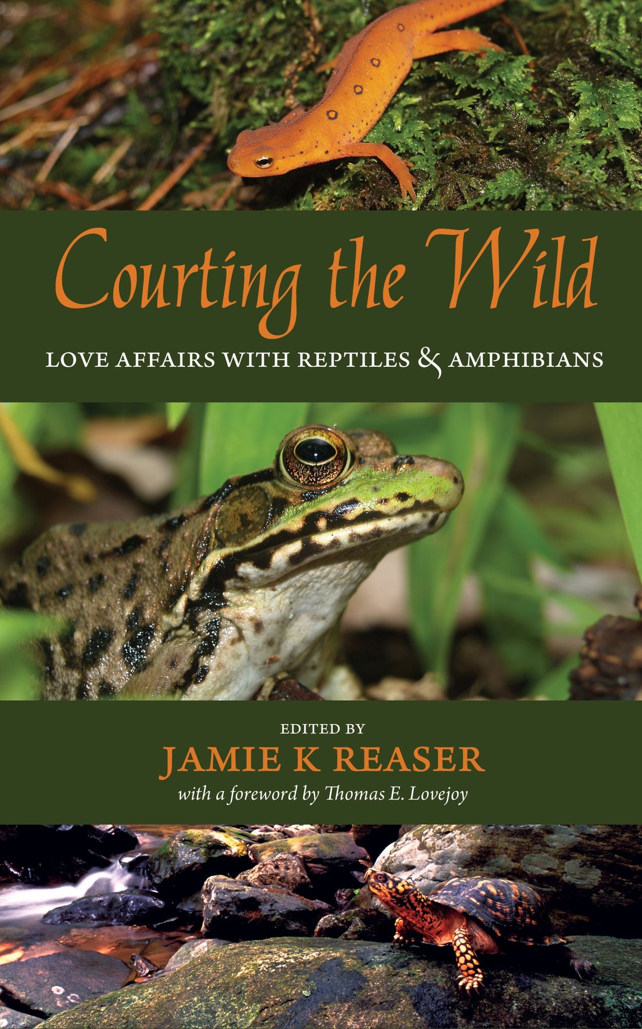 Courting the Wild: Love Affairs with Reptiles and Amphibians
