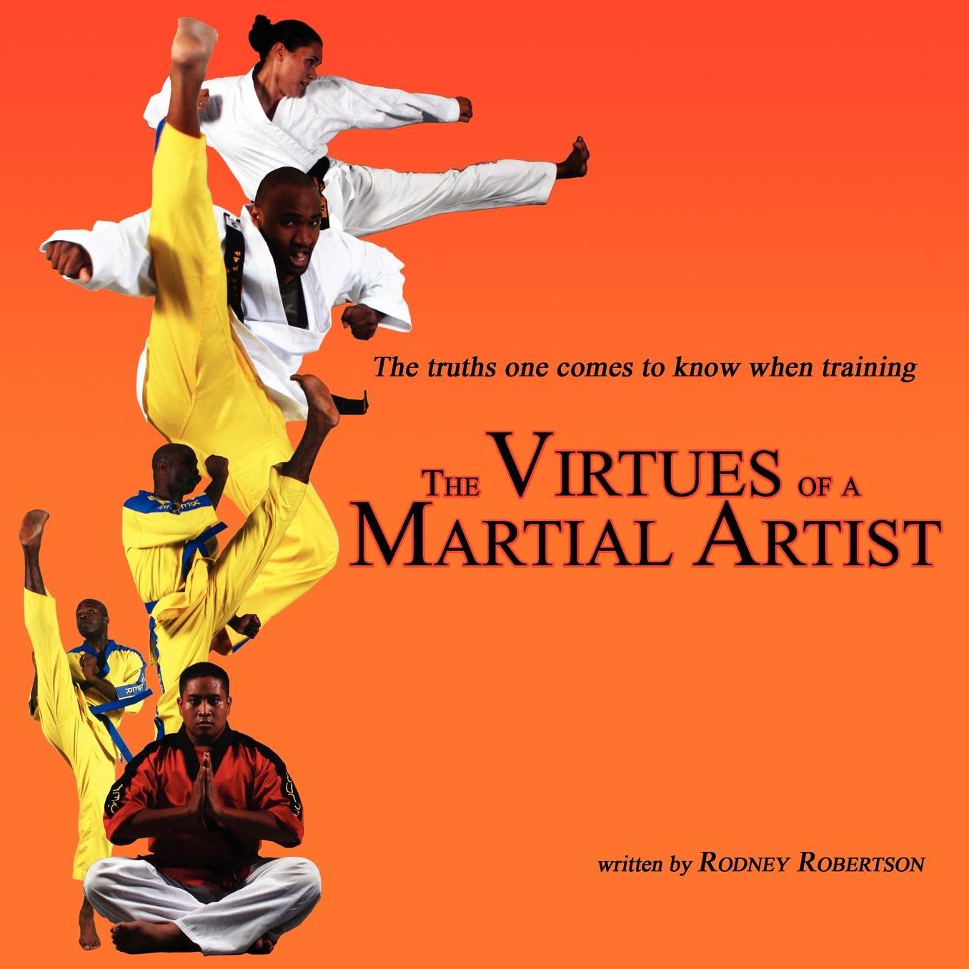 Virtues Of A Martial Artist