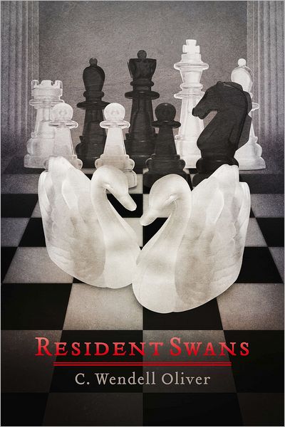 Resident Swans