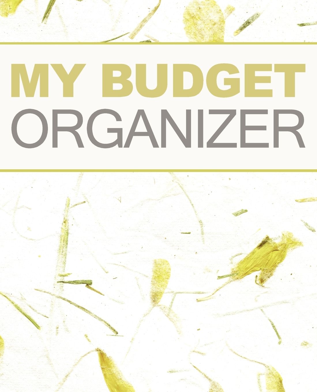My Budget Organizer