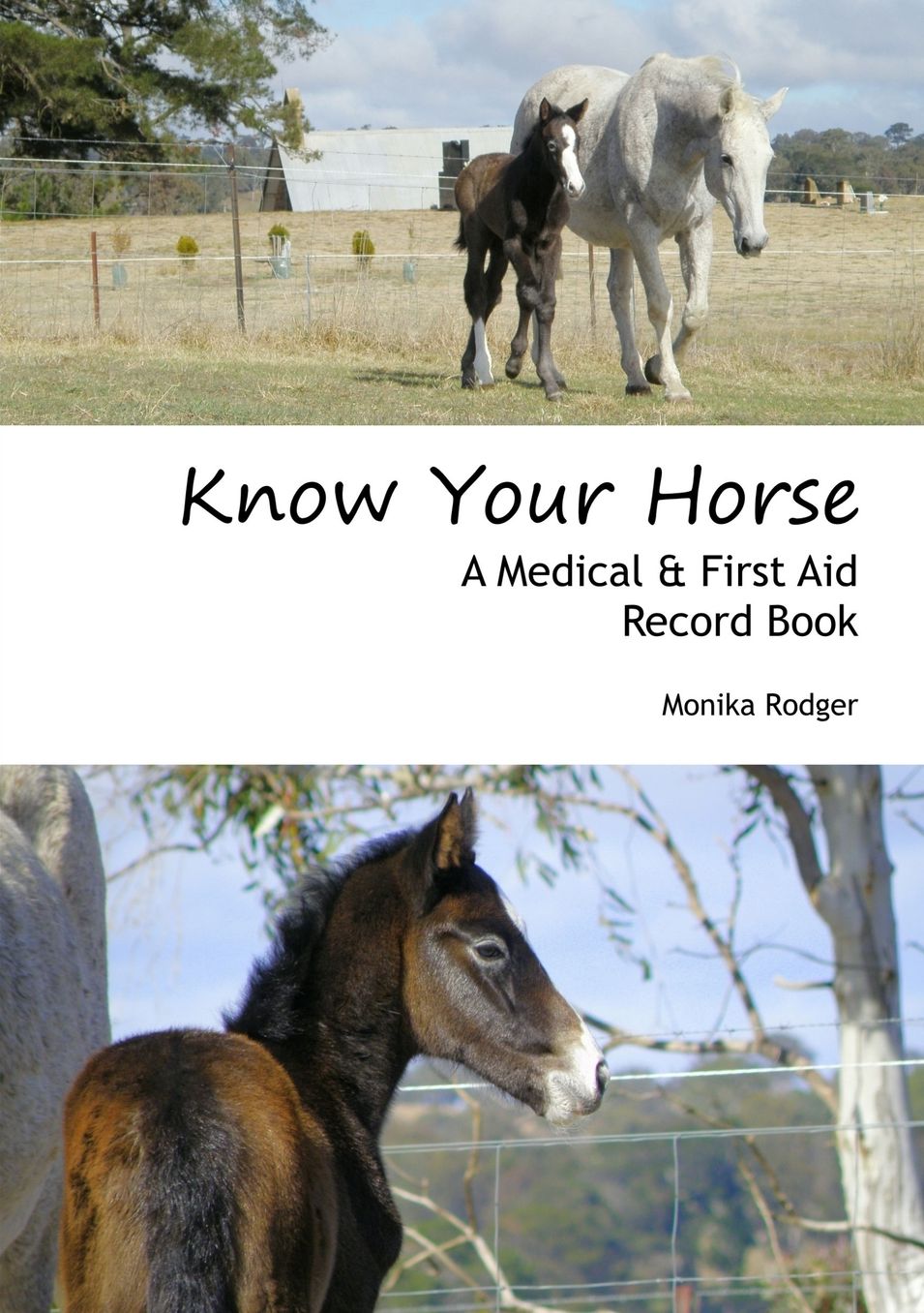 Know Your Horse: A Medical and First Aid Record Book