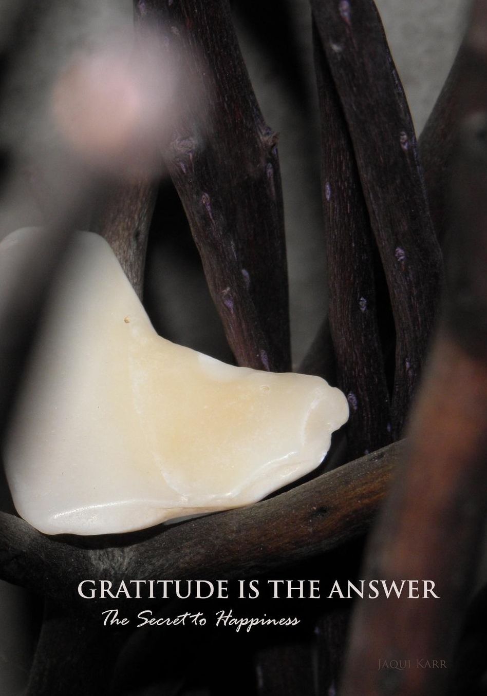 Gratitude Is The Answer: The Secret To Happiness